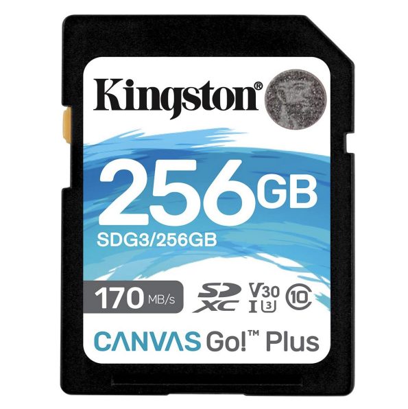 Kingston 256GB SDXC Canvas Go Plus