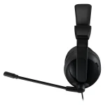 Adesso Xtream H5U Stereo USB Multimedia Headphone:Headset with Microphone