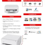 Canon PIXMA TS4320 Wireless Color Inkjet Printer for Duplex Printing – White