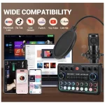 P999 All-in-one Audio Interface with Preamp